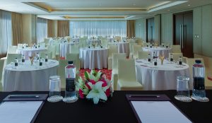 Mercure Hotel Hyderabad - Conference