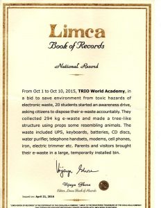Trio Academy Limca Certificate