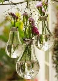 eco friendly bulb