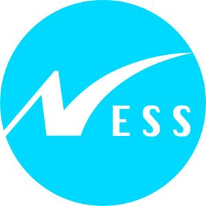 Ness Digital Engineering Logo