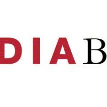 US - India Business Council Logo