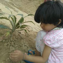 Go Green Plantation Drive organized at RG Residency