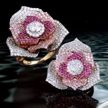 Pooja and Sonam Jewels