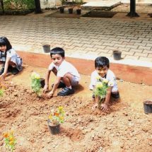 STUDENTS TURN GREEN AMBASSADORS FOR WORLD ENVIRONMENT DAY