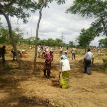 CREDAI Hyderabad Telangana Ku Haritha Haram