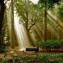 Health benefits of Walking – Dr. Doctor J.Thampi