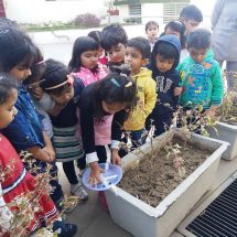 Project Exhibition_Vega Schools