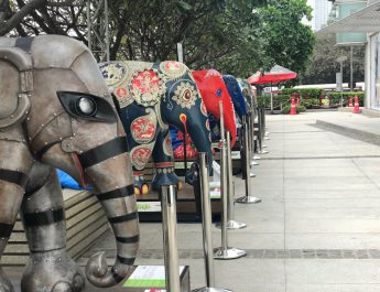 Elephant Parade at Oberoi Mall