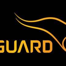 VGuard Industries Limited Logo