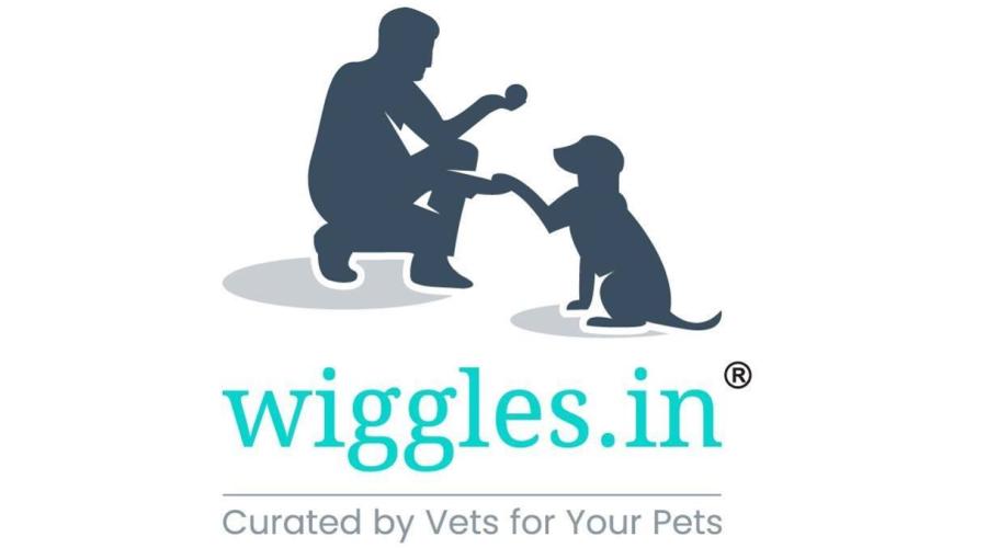 Wiggles India Logo