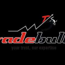 TradeBulls Securities Logo Black