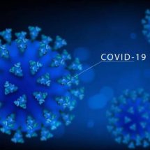Covid-19 - Corona Virus