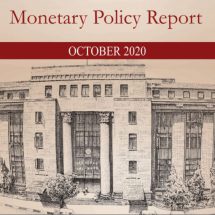 RBI Monetary Policy Report October 2020