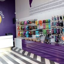 Paws n Collars - Pet Mall - HSR Layout - Bengaluru 2